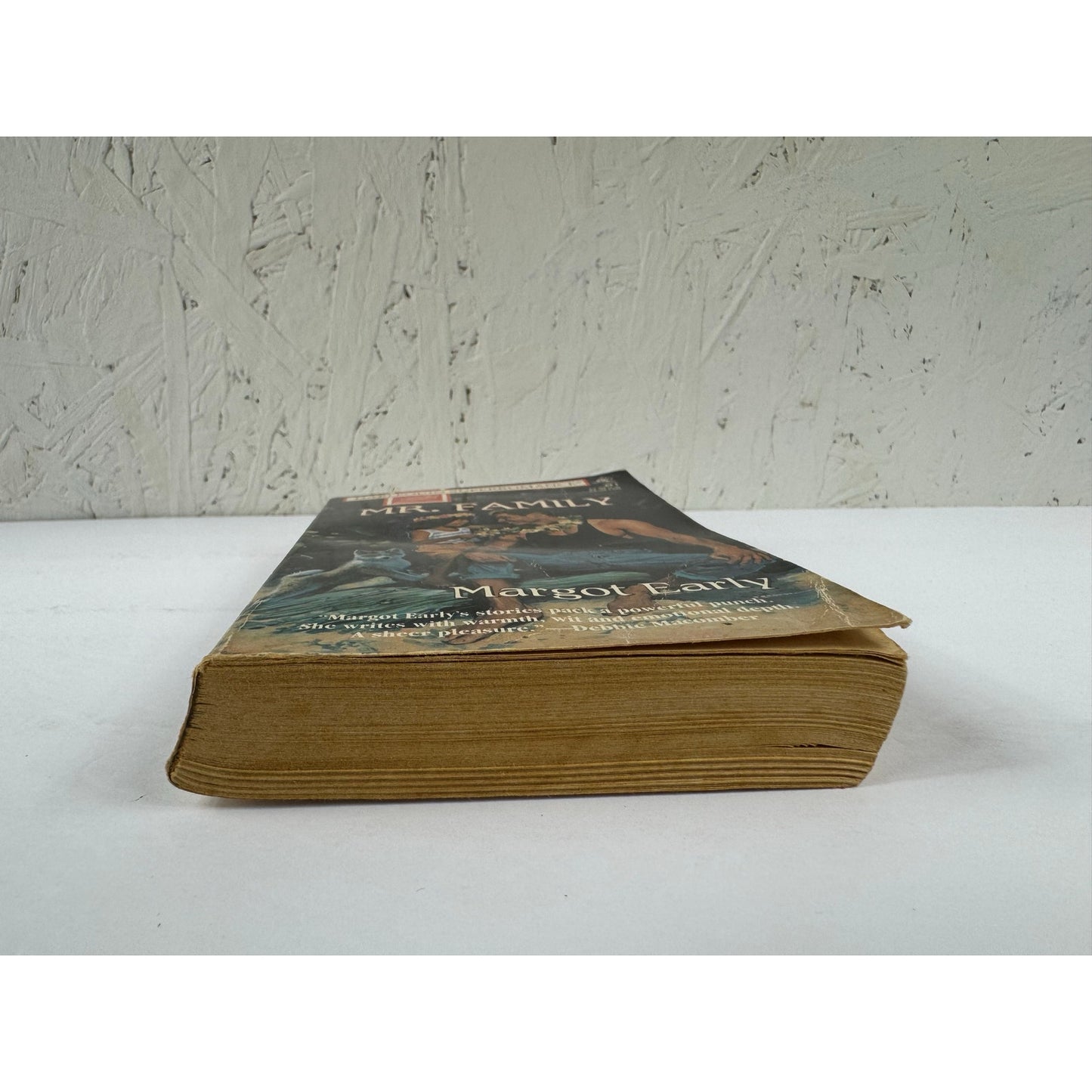 Mr. Family by Margot Early (Paperback)