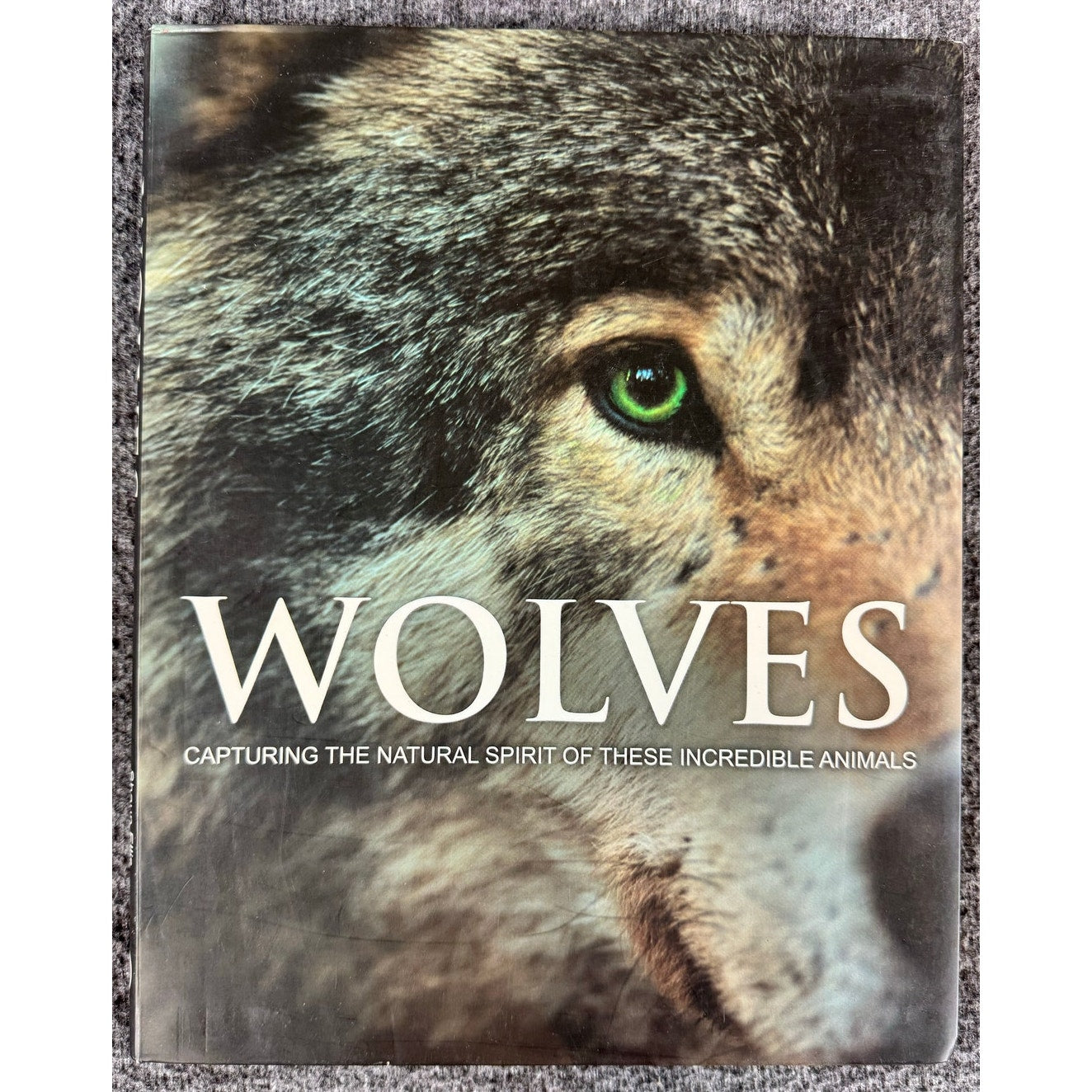 Wolves by Parragon Books (Paperback)