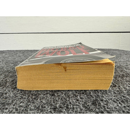 The Big Bad Wolf by James Patterson (Paperback)