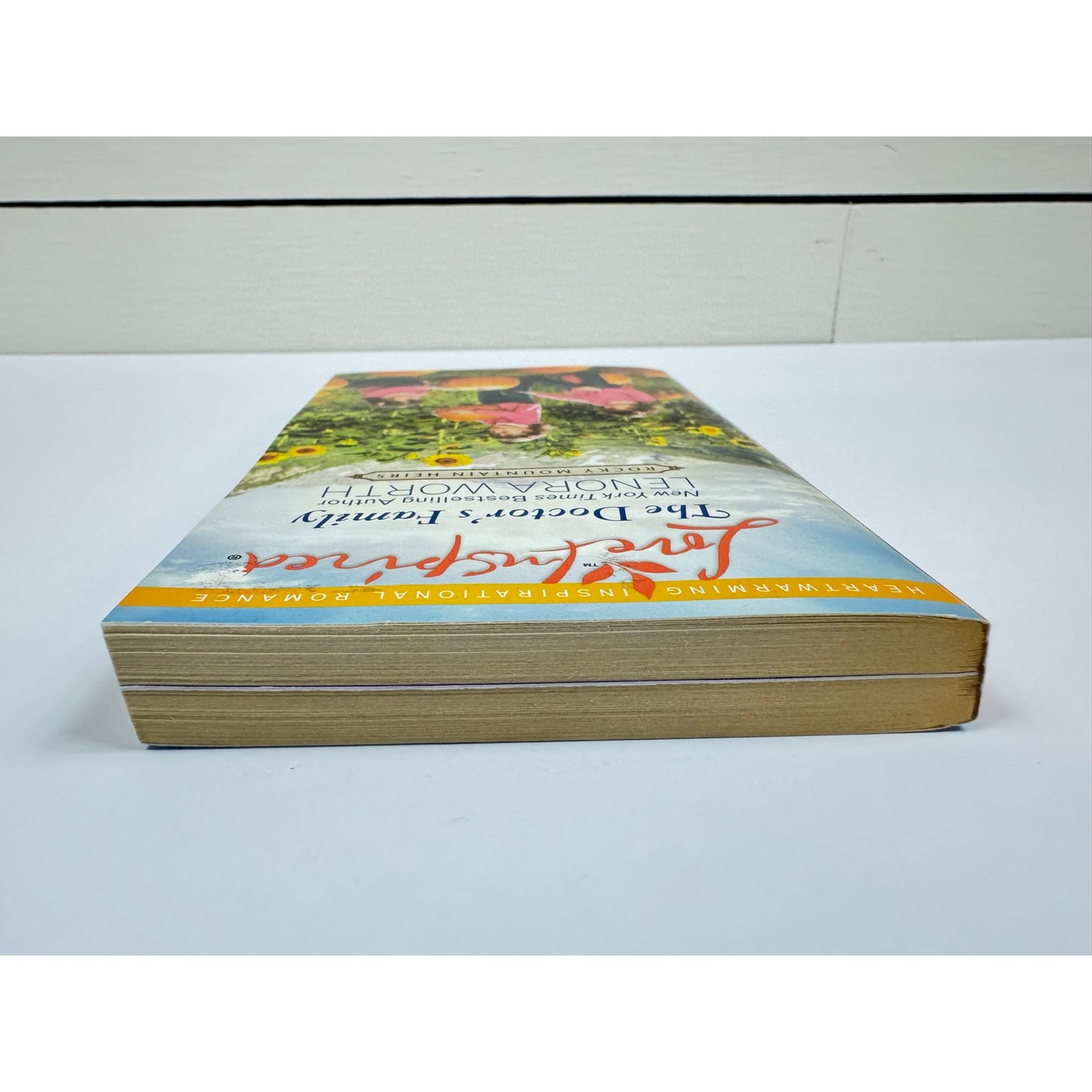 The Doctor's Family by Lenora Worth (Paperback)