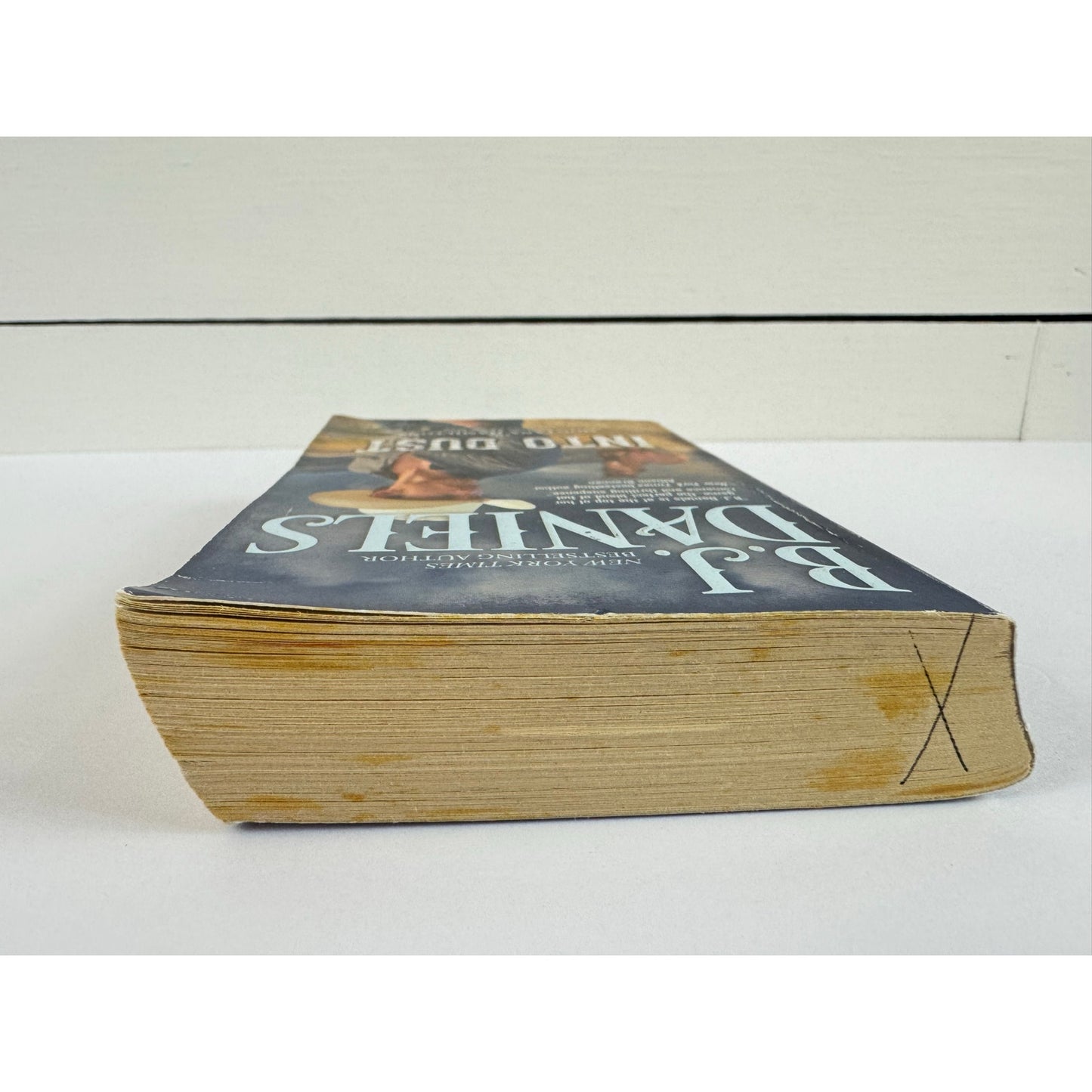 Into Dust by B.J. Daniels (Paperback)