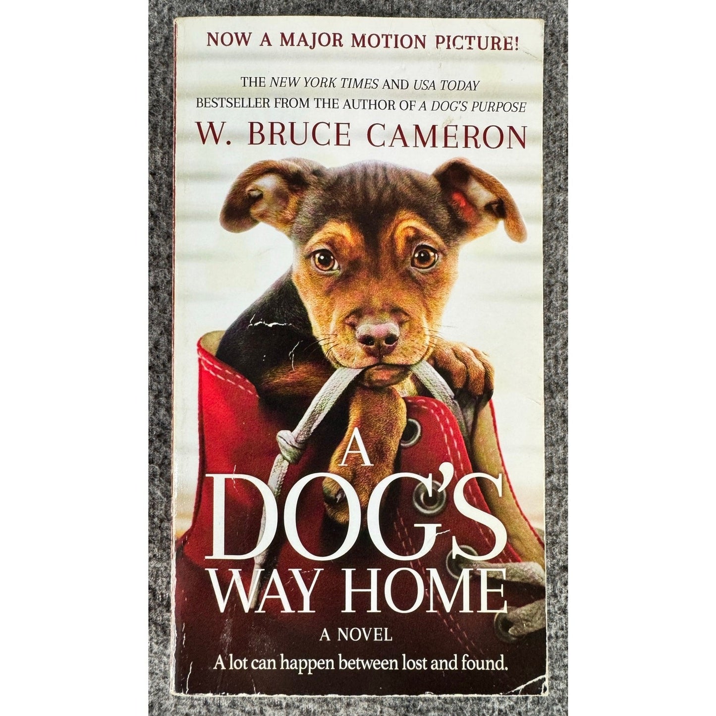 A Dog's Way Home by W. Bruce Cameron (Paperback)