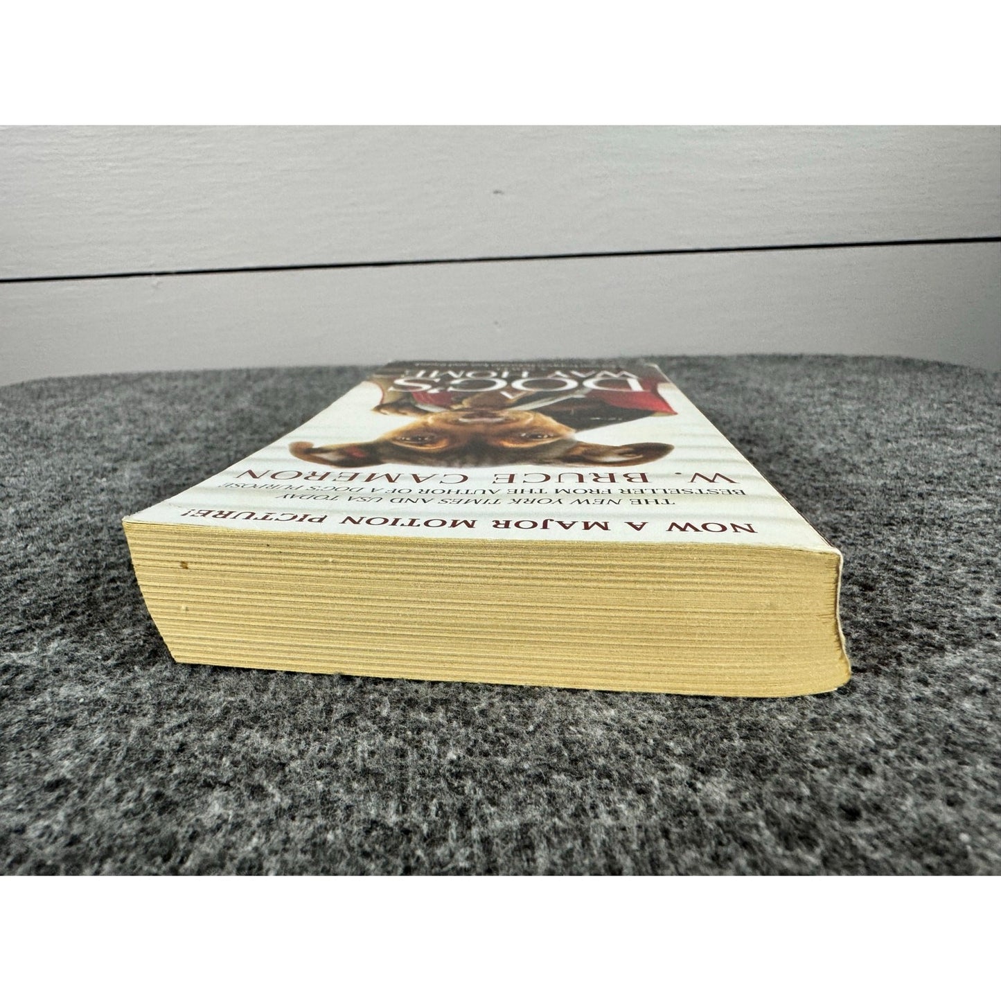 A Dog's Way Home by W. Bruce Cameron (Paperback)