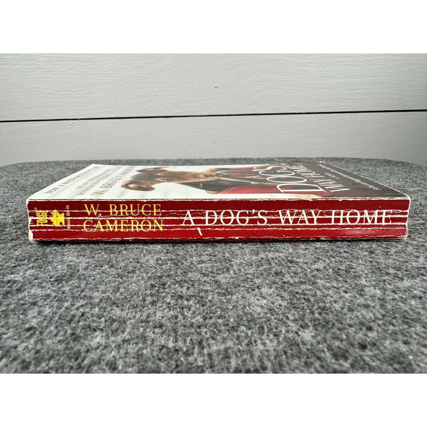 A Dog's Way Home by W. Bruce Cameron (Paperback)
