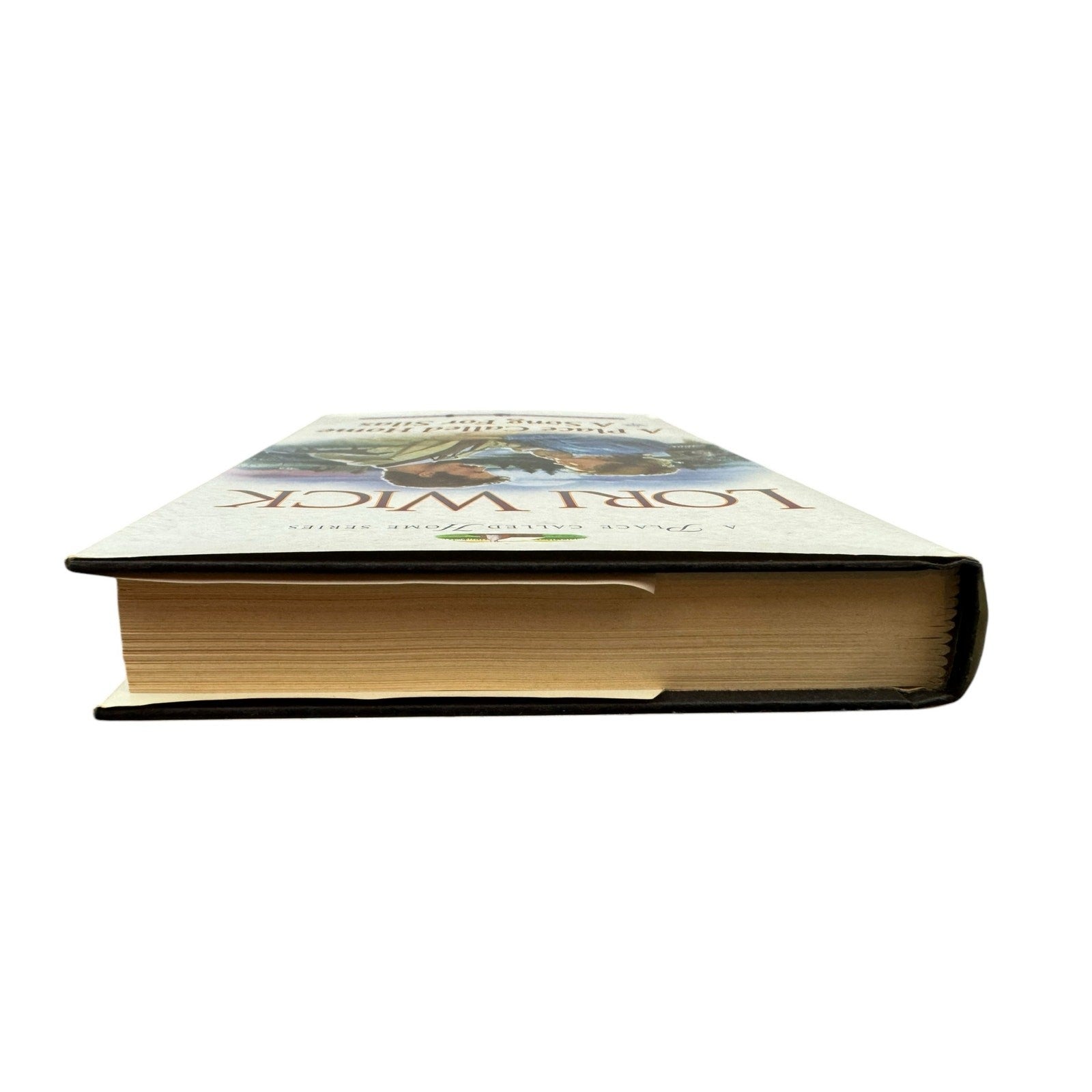 A Place Called Home / A Song for Silas by Lori Wick (Hardcover)