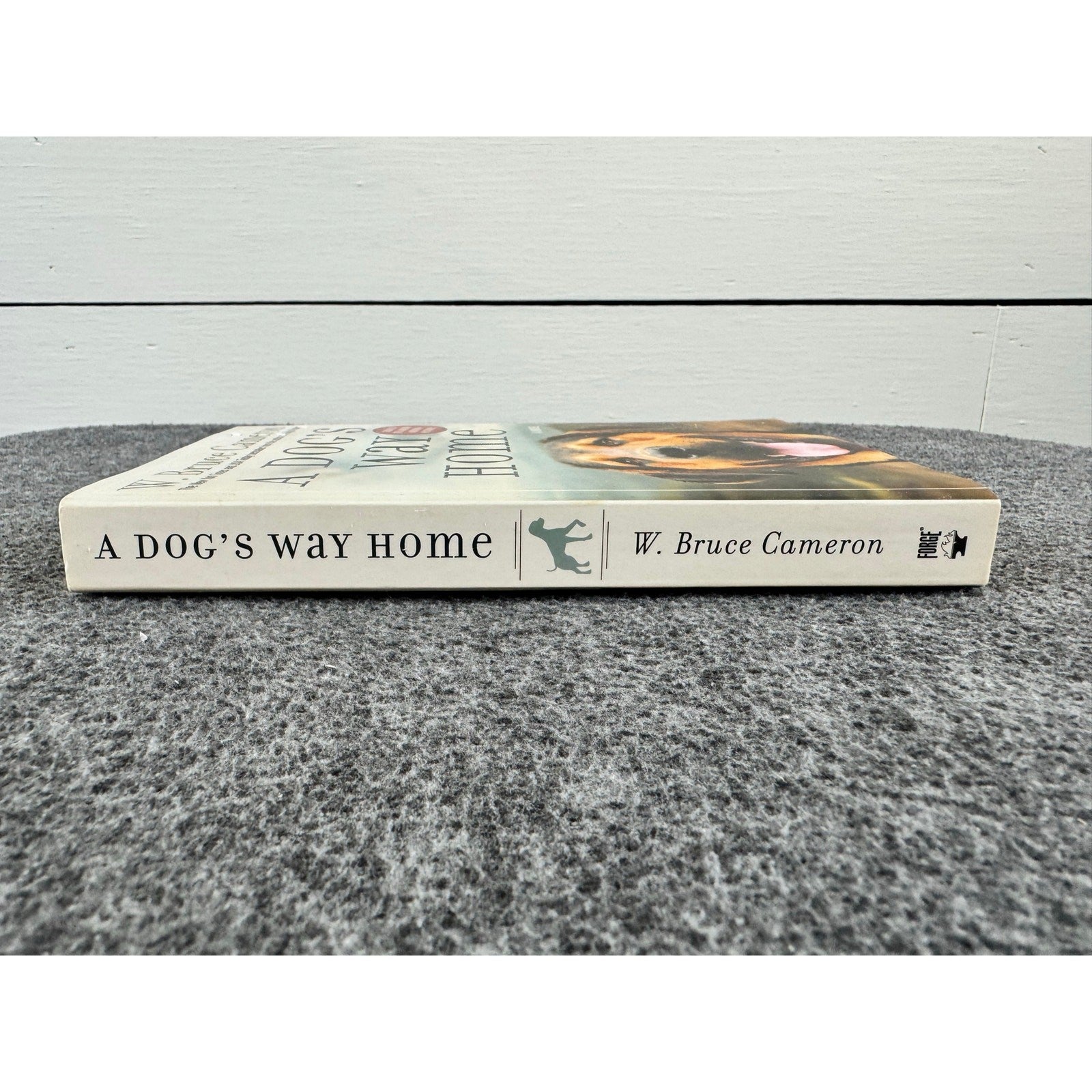 A Dog's Way Home by W. Bruce Cameron (Paperback)