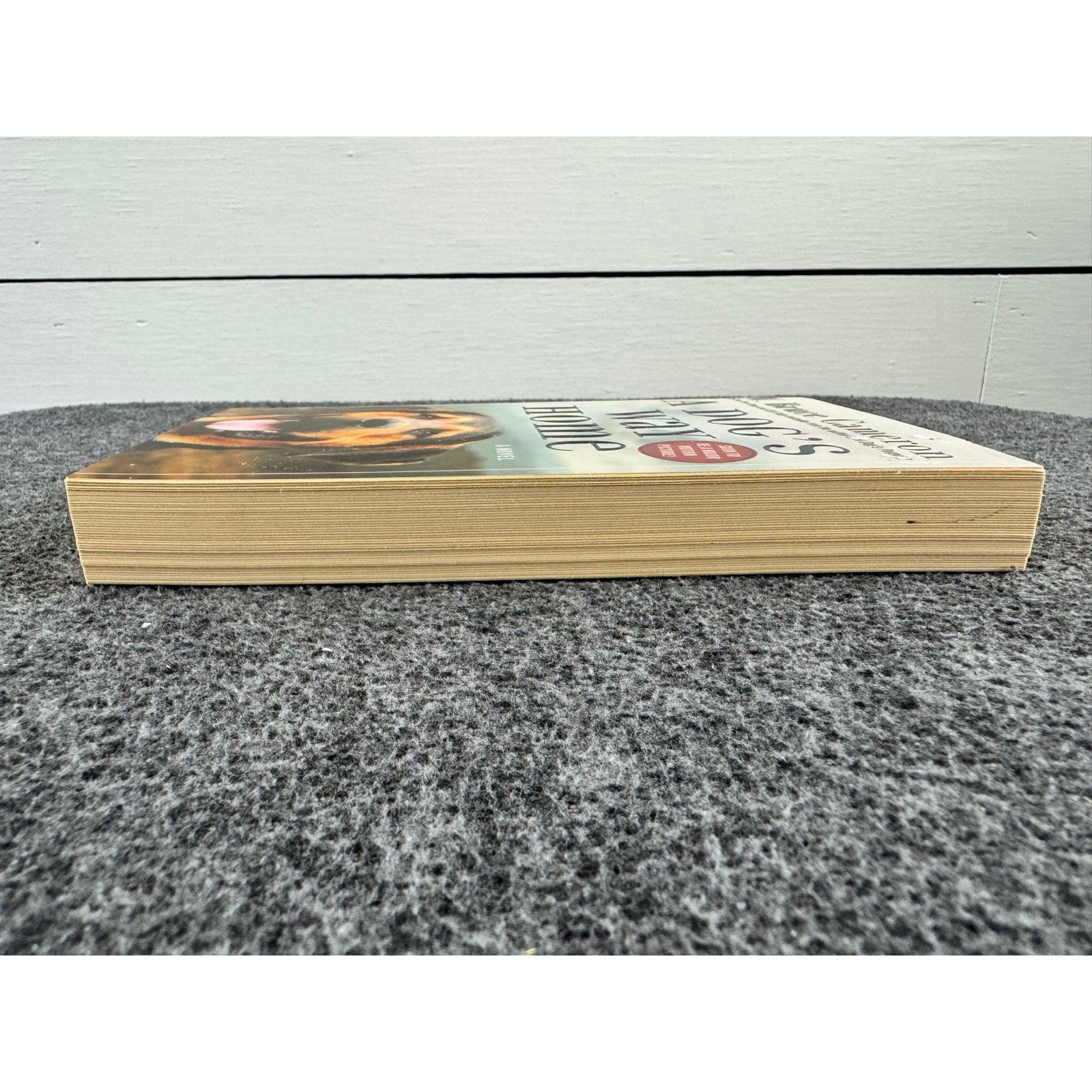 A Dog's Way Home by W. Bruce Cameron (Paperback)