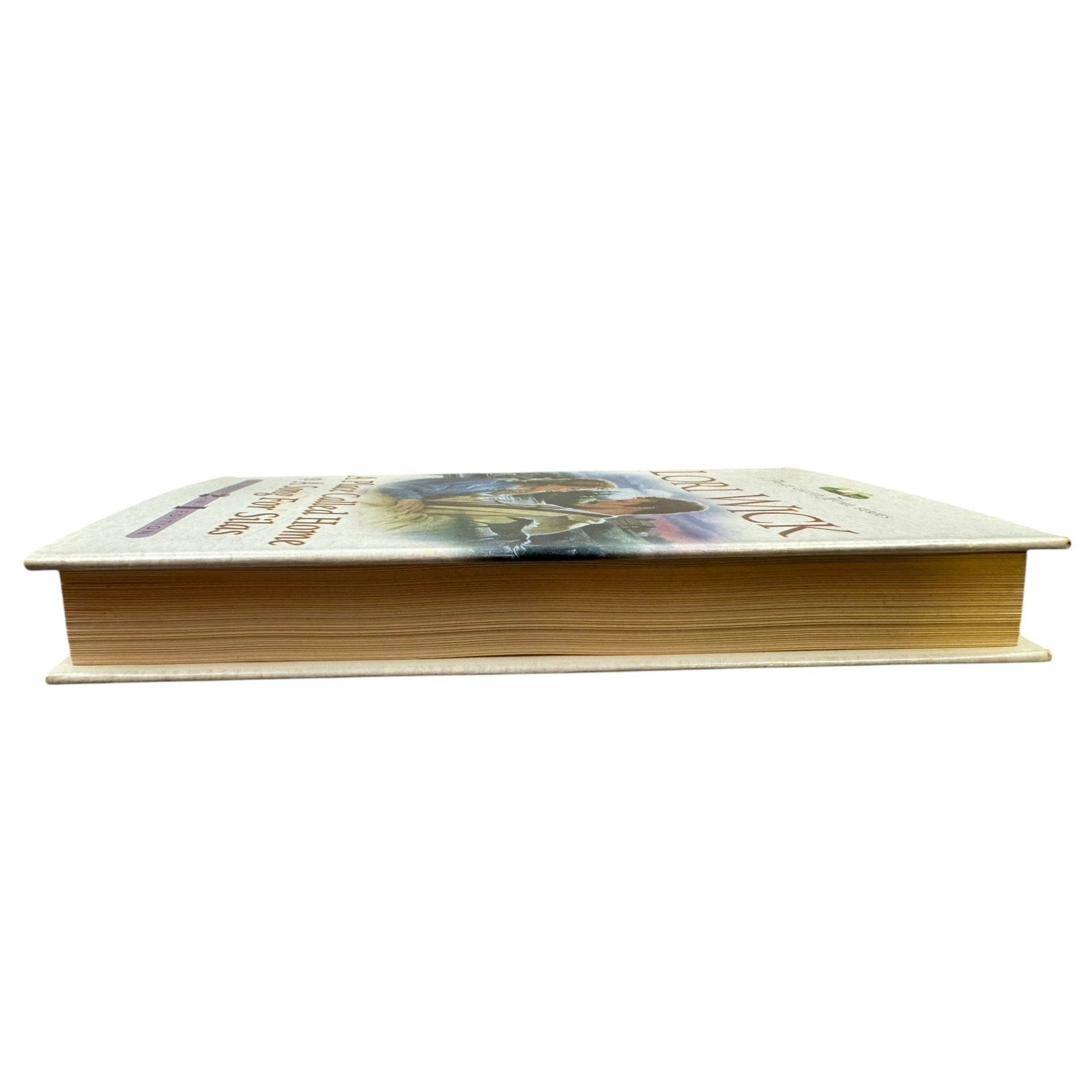 A Place Called Home / A Song for Silas by Lori Wick (Hardcover)