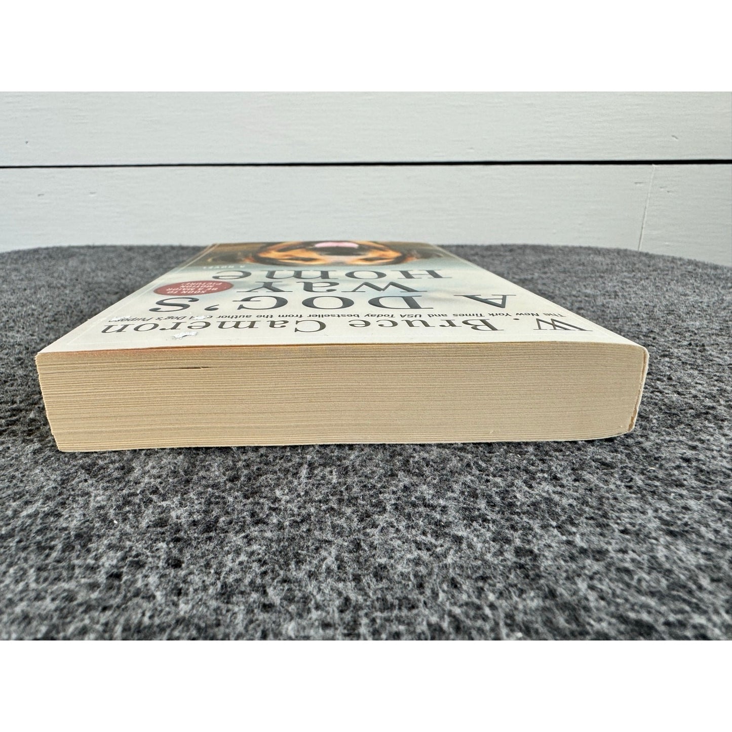 A Dog's Way Home by W. Bruce Cameron (Paperback)