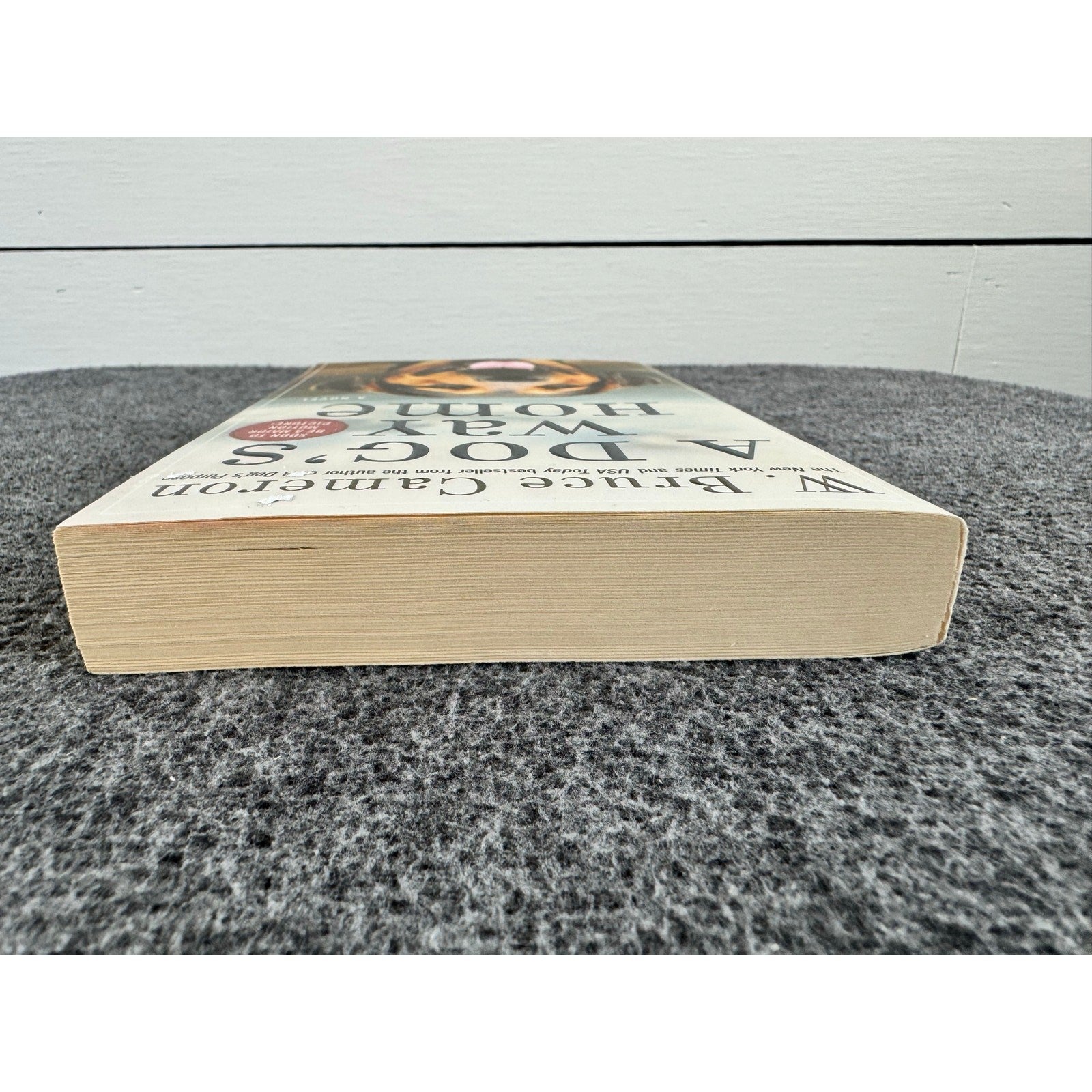 A Dog's Way Home by W. Bruce Cameron (Paperback)