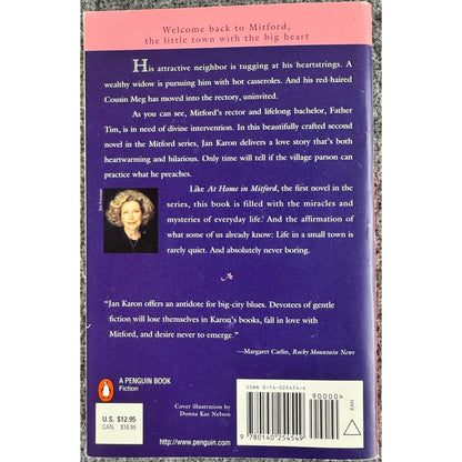 A Light in The Window by Jan Karon (Paperback)