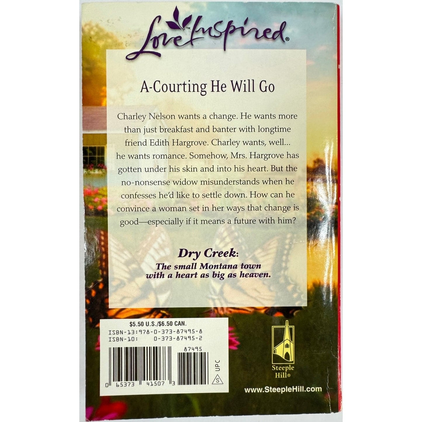 A Dry Creek Courtship by Janet Tronstad (Paperback)