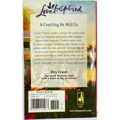 A Dry Creek Courtship by Janet Tronstad (Paperback)