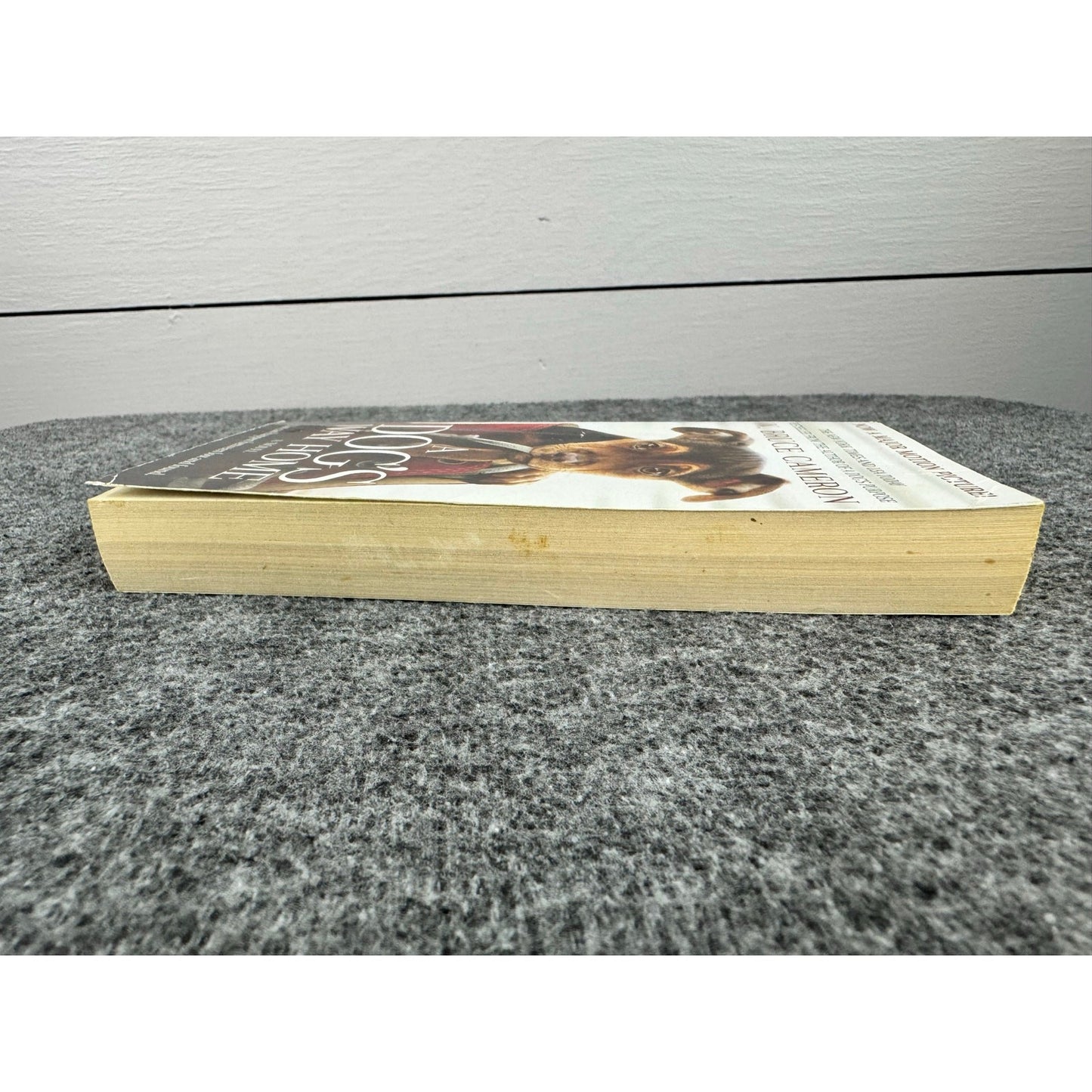 A Dog's Way Home by W. Bruce Cameron (Paperback)