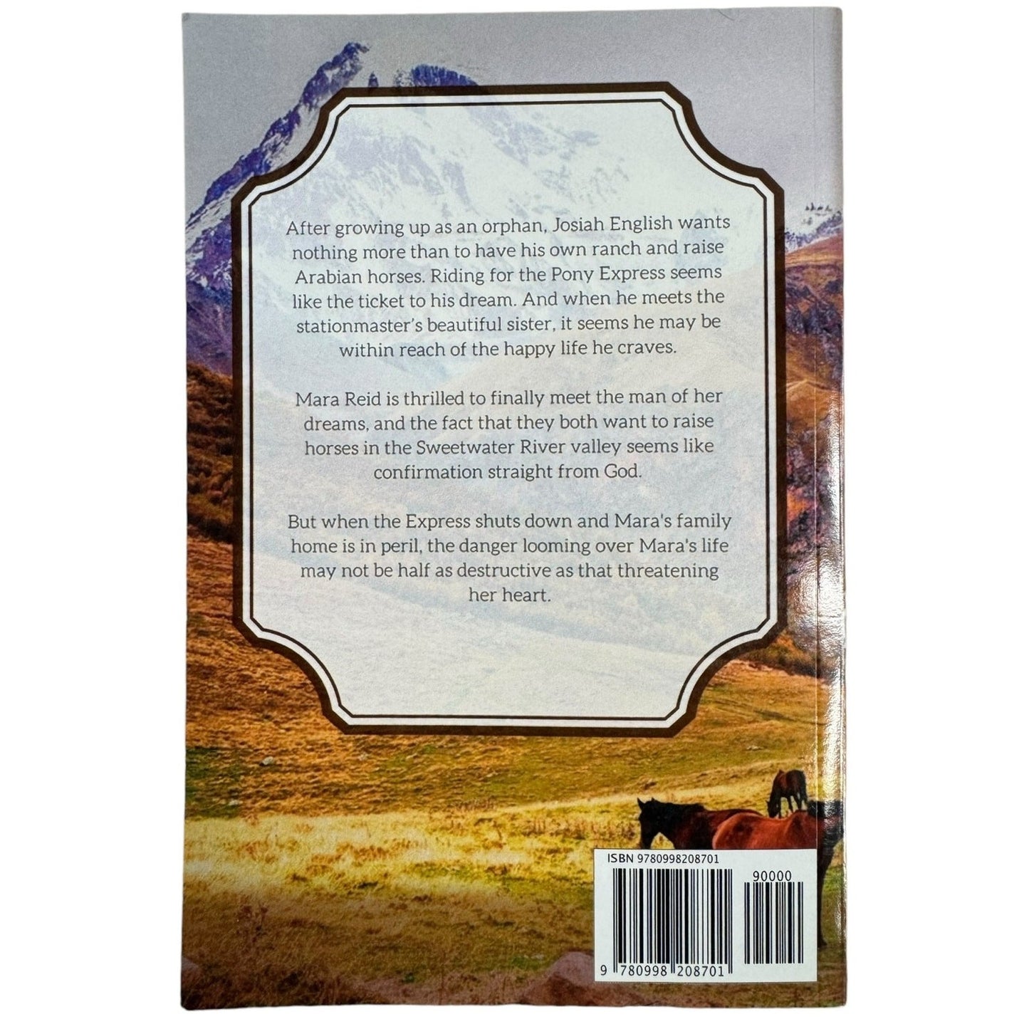 A Pony Express Romance by Misty M. Beller (Paperback)