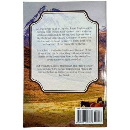 A Pony Express Romance by Misty M. Beller (Paperback)
