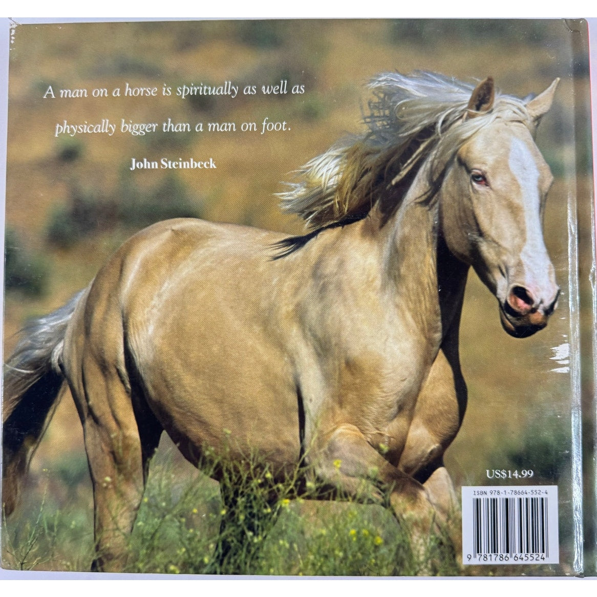 Horse: Magnificent, Playful, Loyal by Catherine Austen (Hardcover)