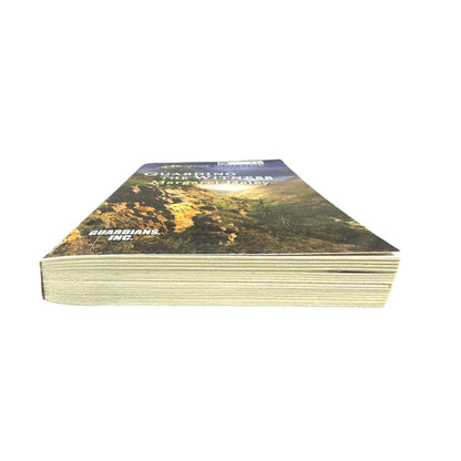 Guarding the Witness by Margaret Daley (Paperback)