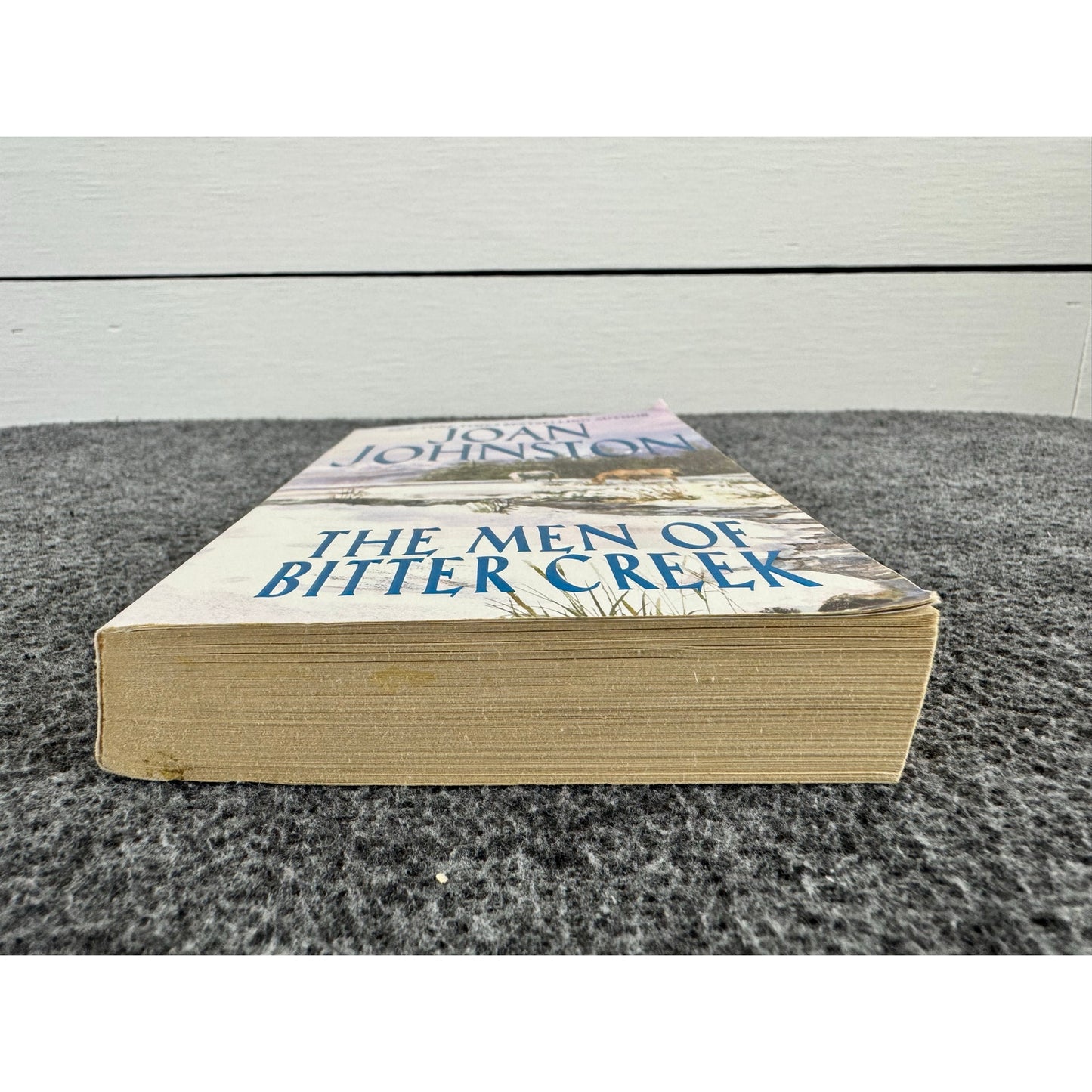 The Men of Bitter Creek: Two Complete Novels by Joan Johnston (Paperback)