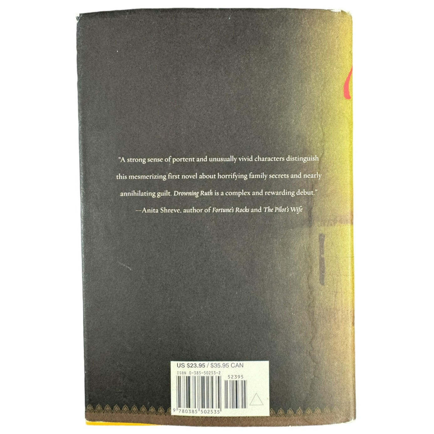 Drowning Ruth by Christina Schwarz (Hardcover)