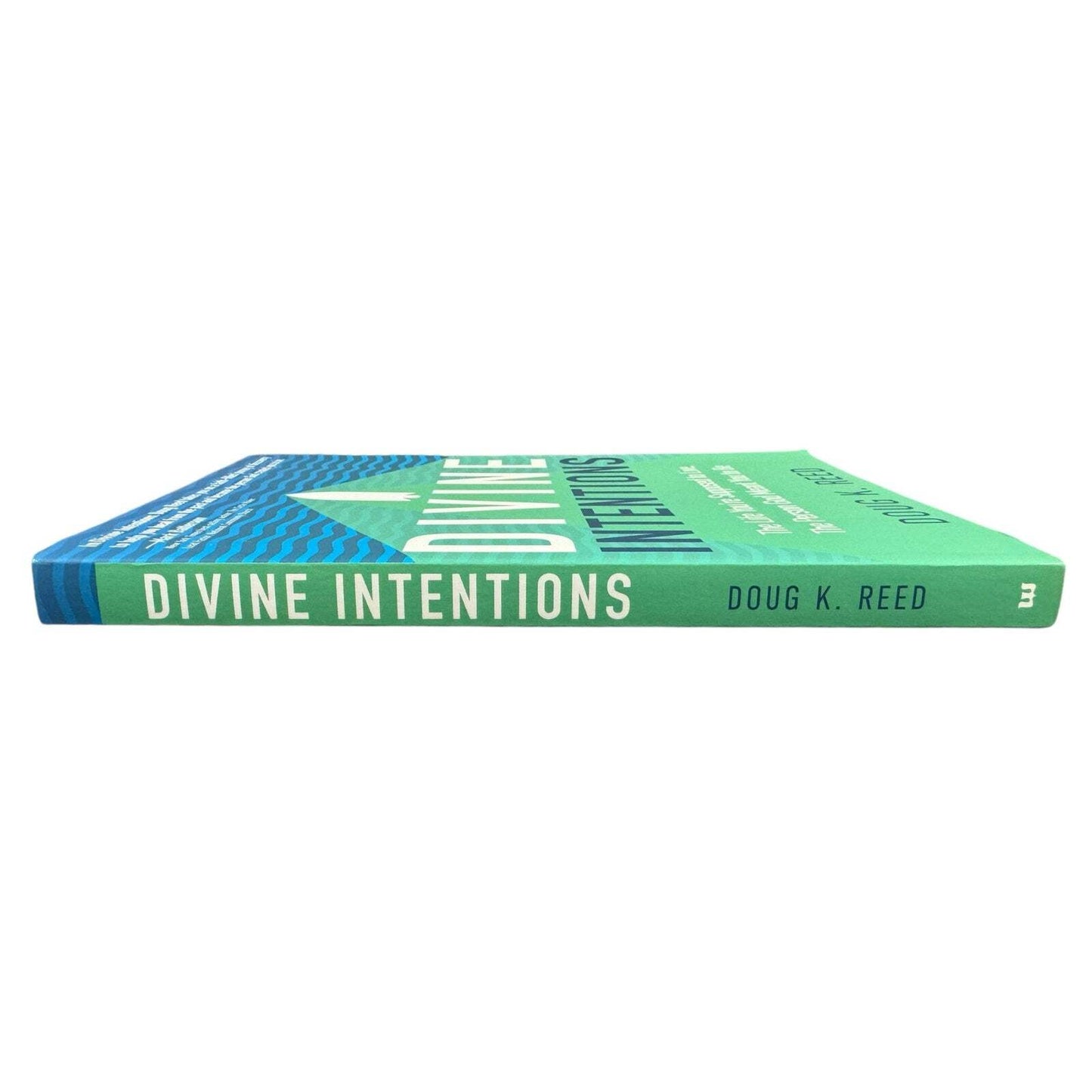 Divine Intentions by Doug K. Reed (Paperback)