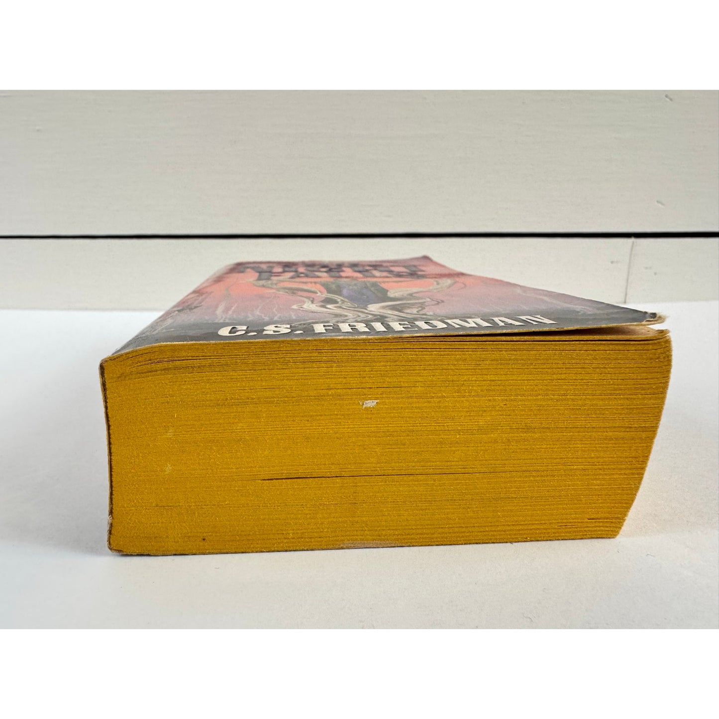 When True Night Falls by C.S. Friedman (Paperback)