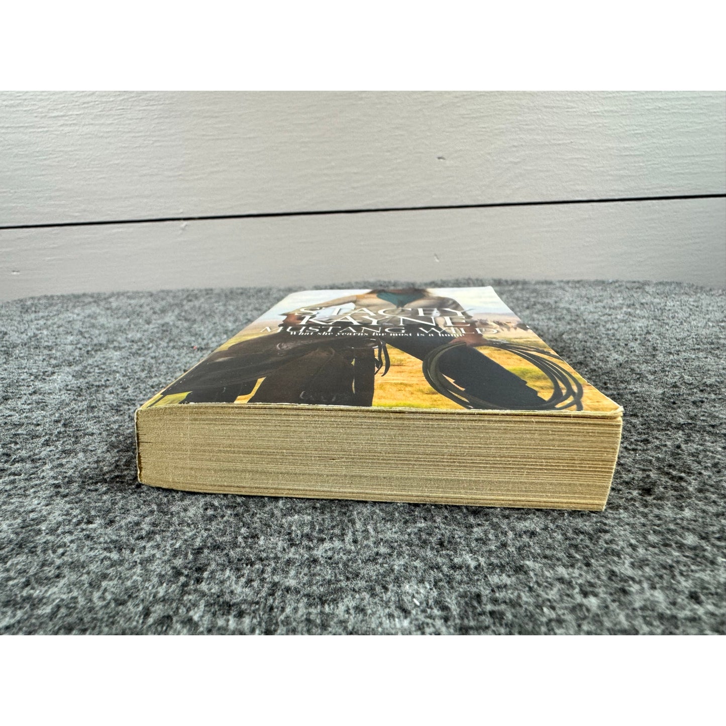 Mustang Wild by Stacey Kayne (Paperback)