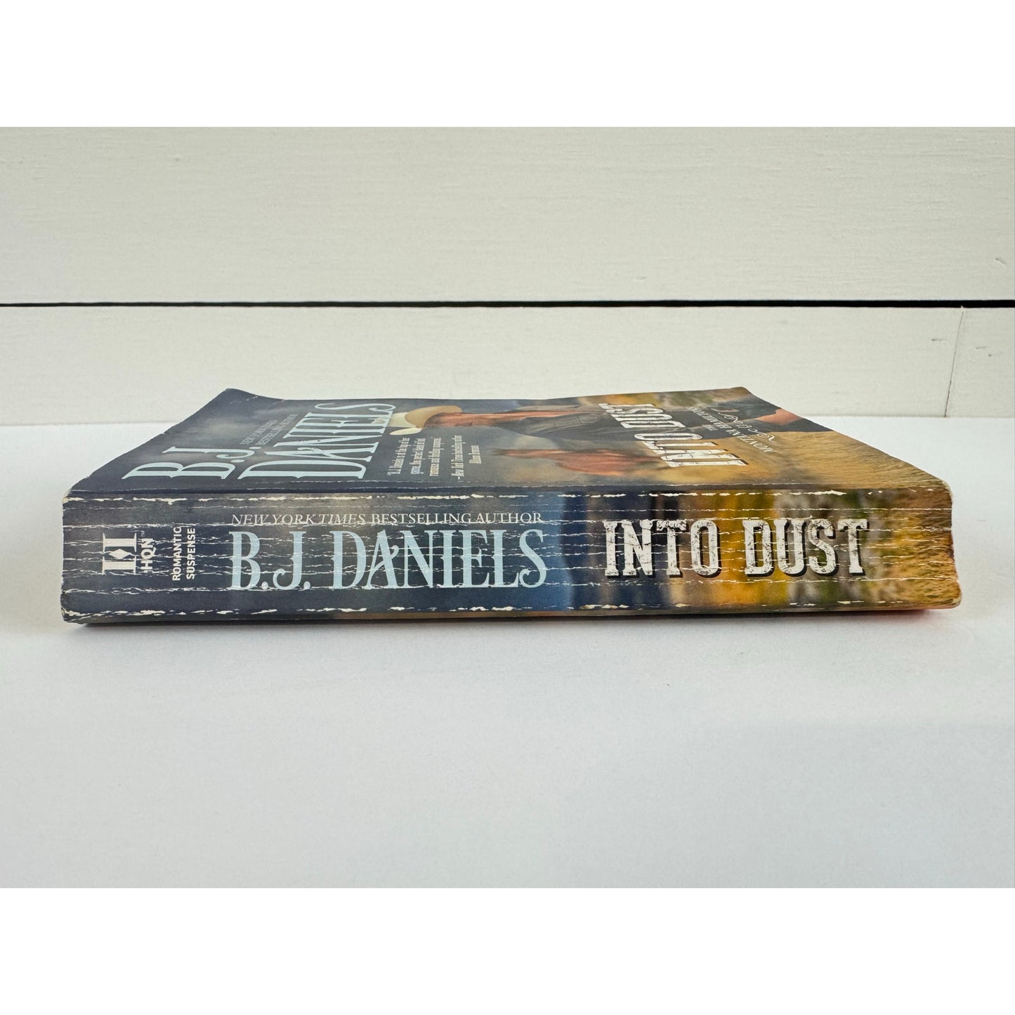 Into Dust by B.J. Daniels (Paperback)