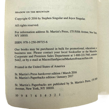 Shadow on the Mountain by Stephen & Joyce Singular (Paperback)