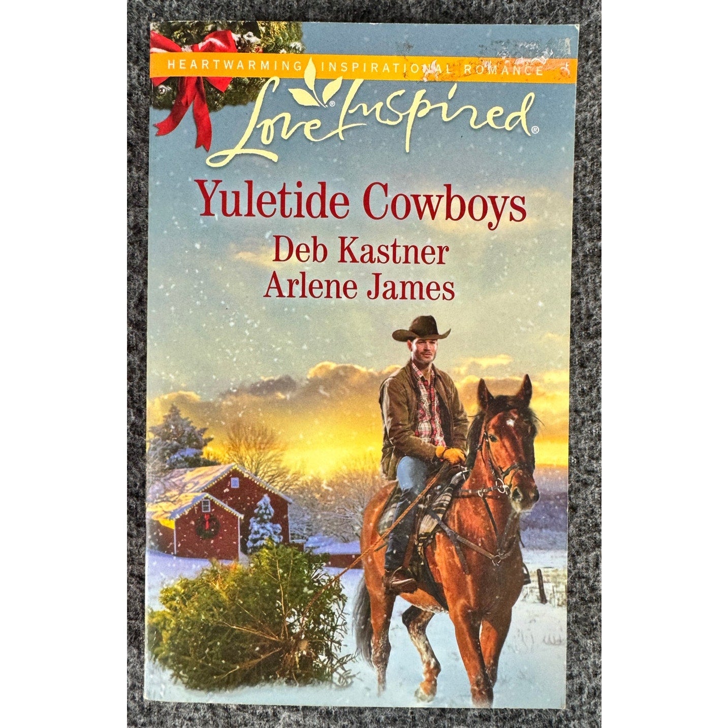 Yuletide Cowboys by Deb Kastner & Arlene James (Paperback)