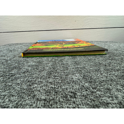 A Year in the Country by Linda Piepenbrink (Hardcover)