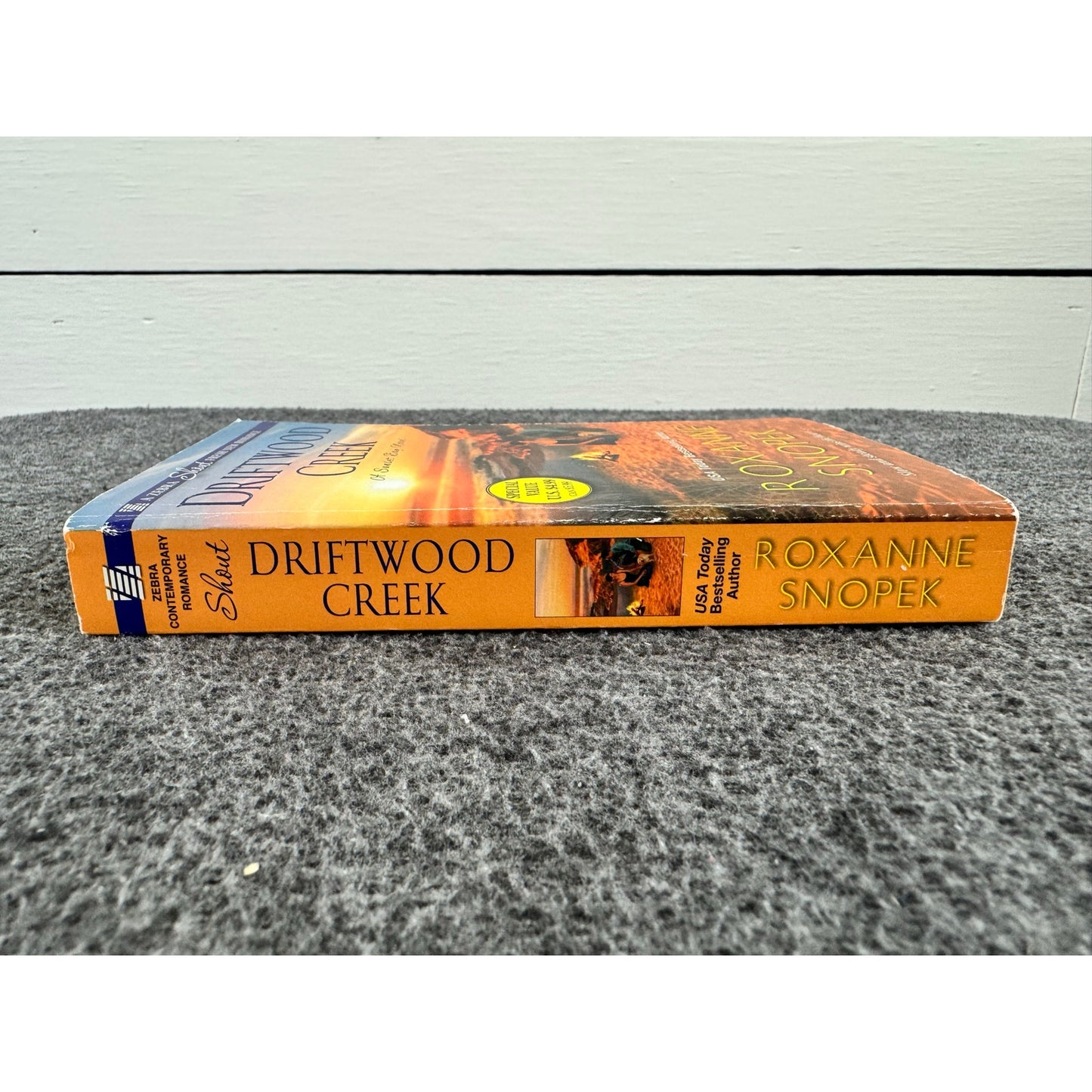 Driftwood Creek by Roxanne Snopek (Paperback)