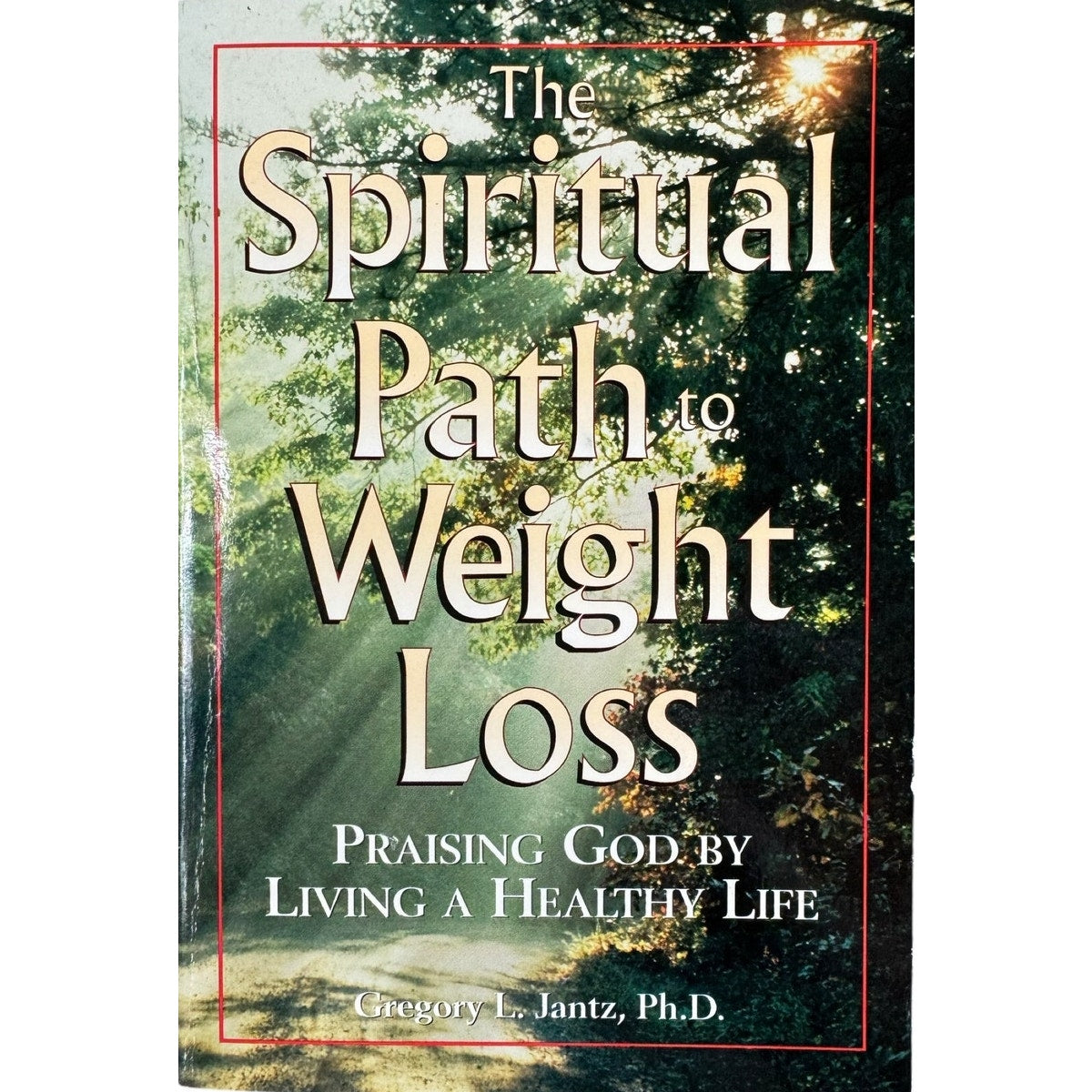 The Spiritual Path to Weight Loss by Gregory L. Janyz Ph.D. (Paperback)