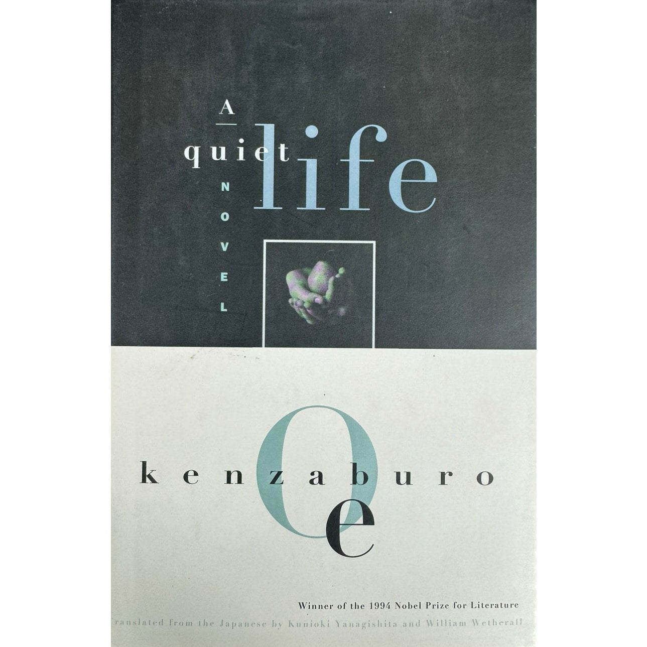 A Quiet Life by Kenzaburo Oe (Hardcover)