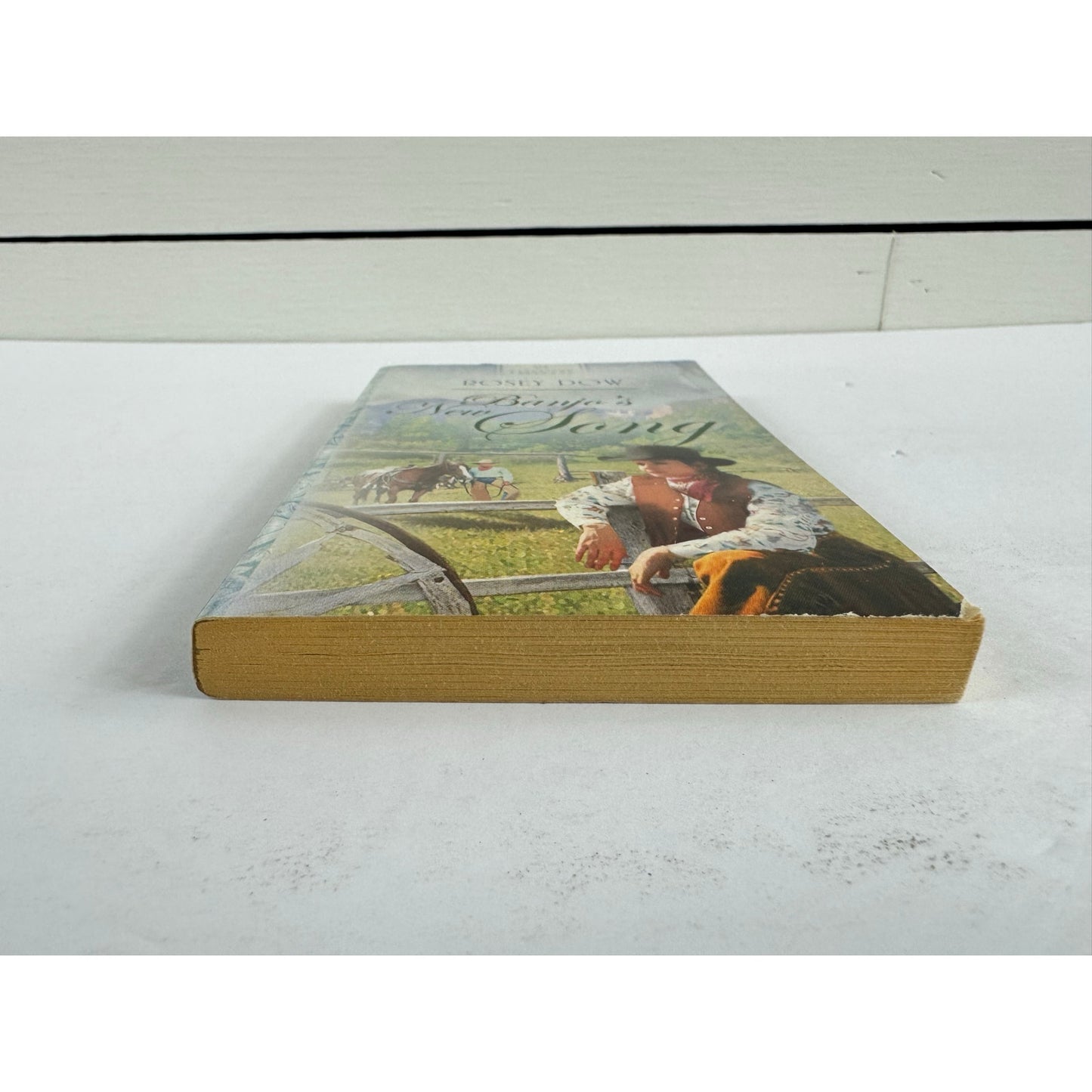 Banjo's New Song by Rosey Dow (Paperback)
