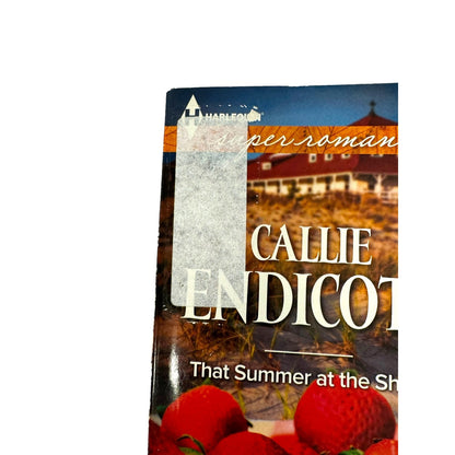 That Summer at the Shore by Callie Endicott (2014, Paperback) (Large Print)