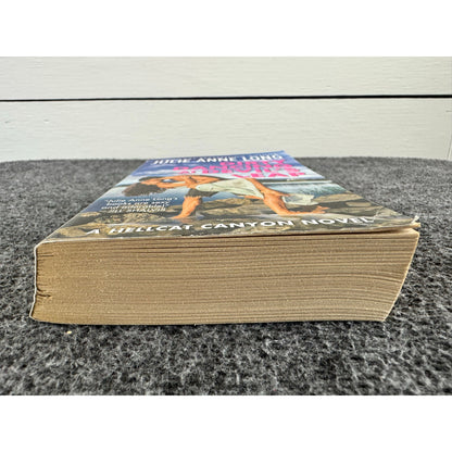 Dirty Dancing at Devil's Leap by Julie Anne Long (Paperback)