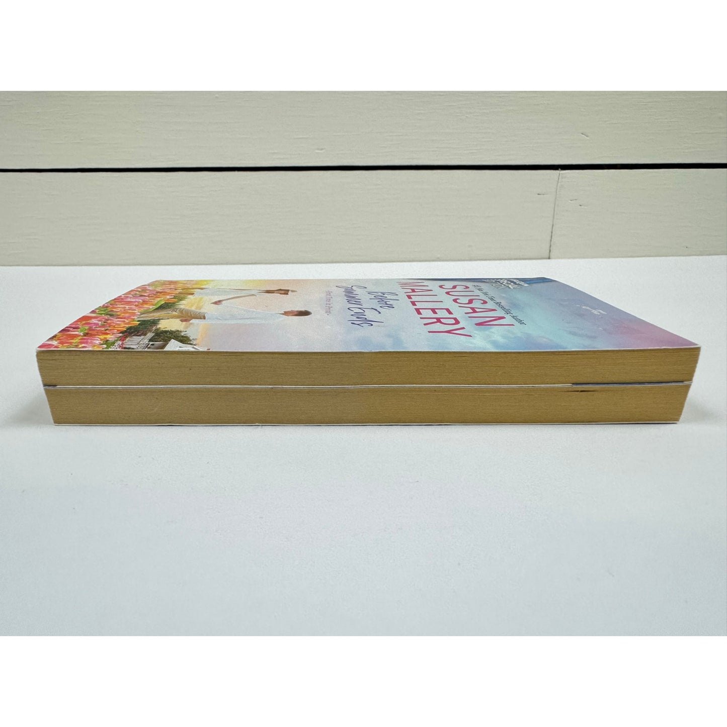 Before Summer Ends by Susan Mallery (Paperback)