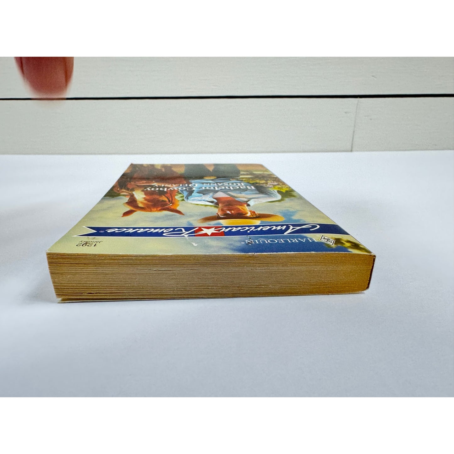 Bachelor Cowboy by Roxann Delaney (Paperback)