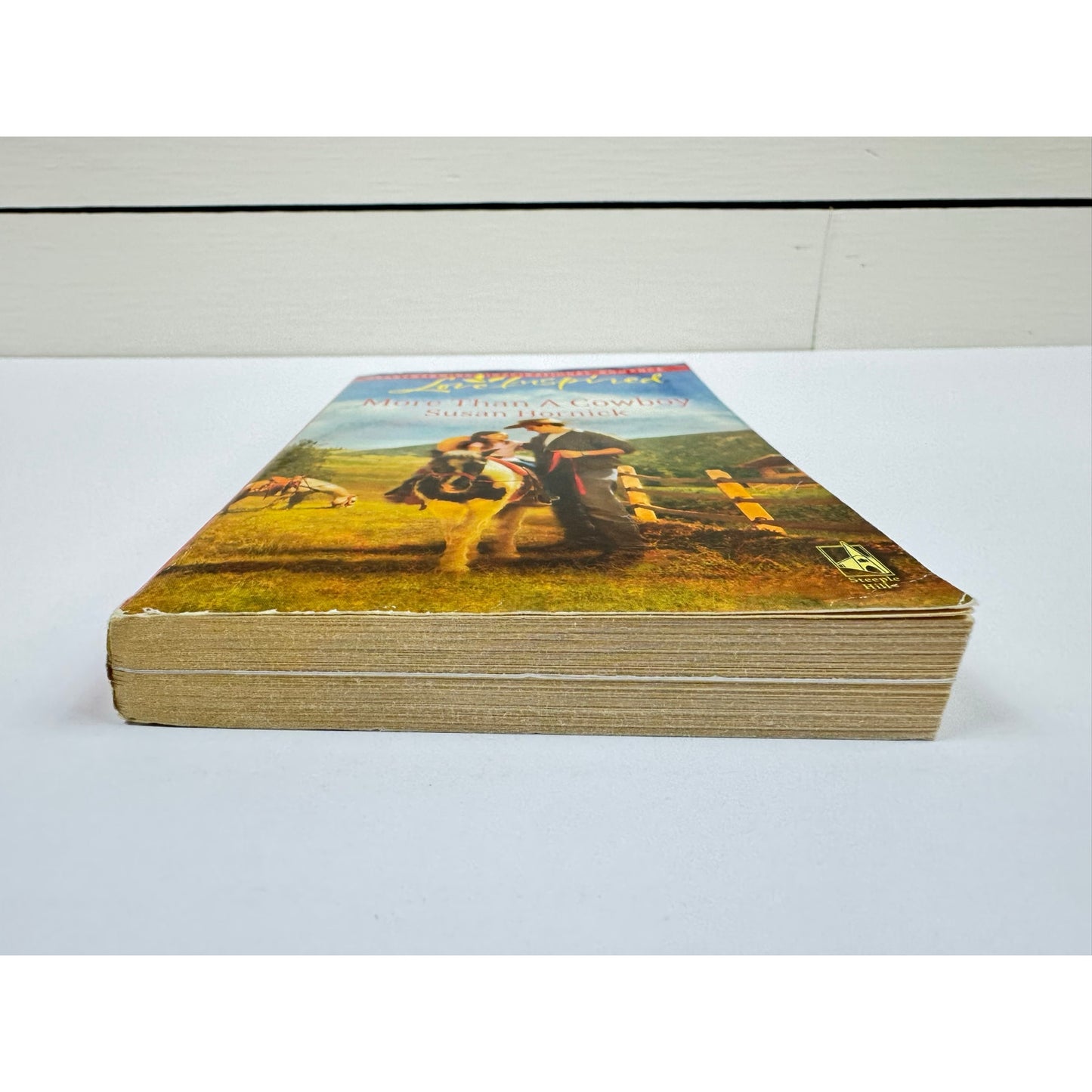 More Than a Cowboy by Susan Hornick (Paperback)