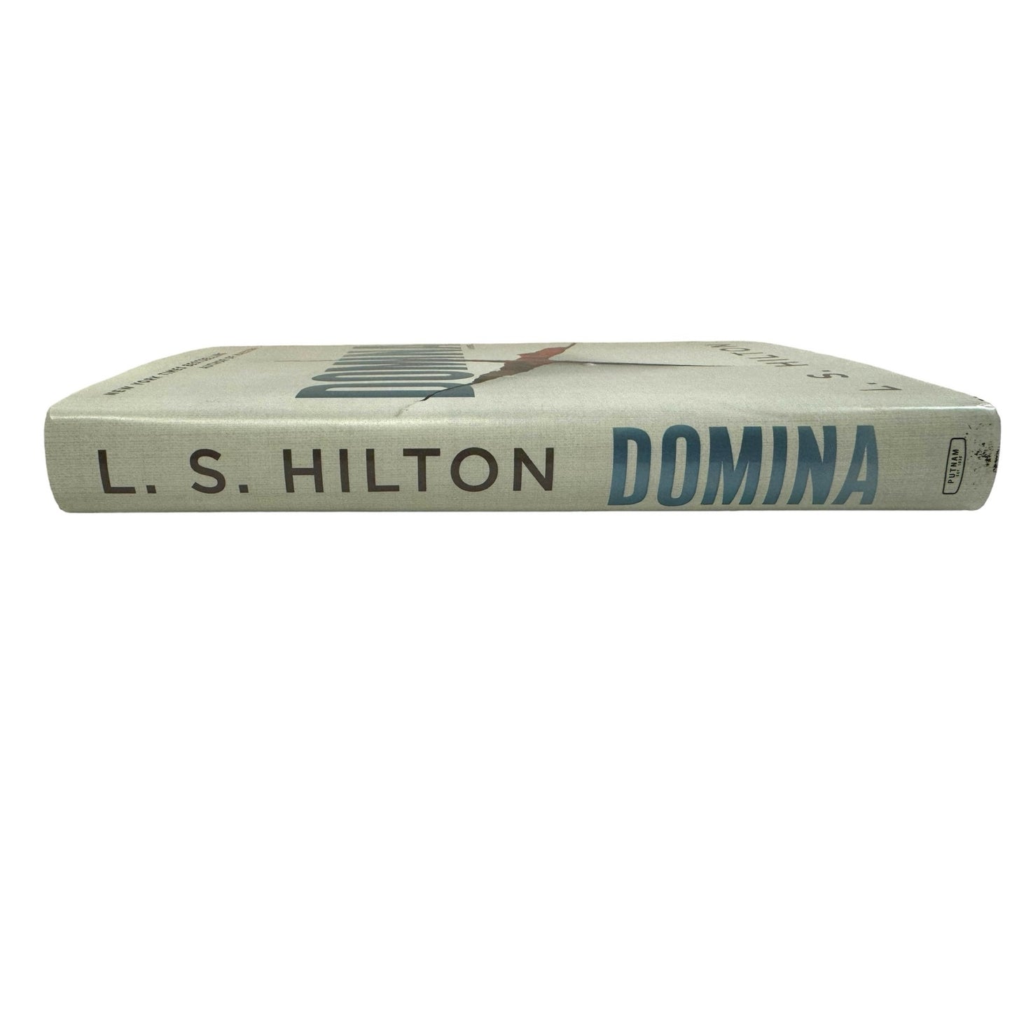 Domina by L. S. Hilton (2017, Hardcover)