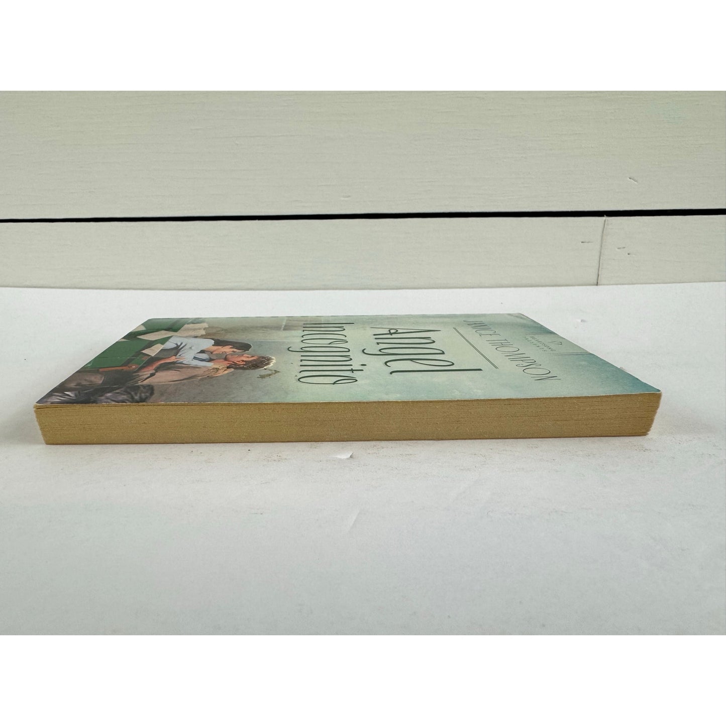 Angel Incognito by Janice Thompson (Paperback)