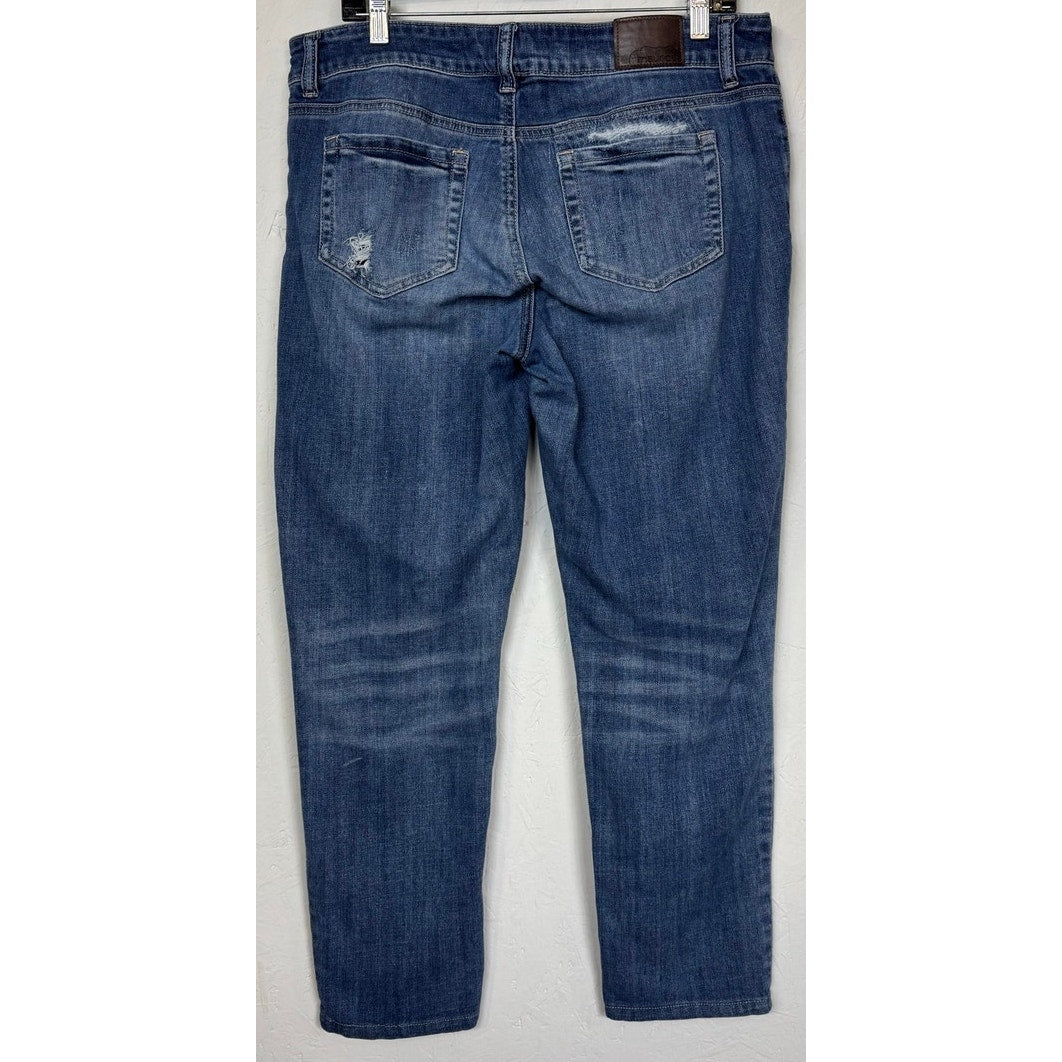 Maurices Blue Straight Jeans Women's Size 14
