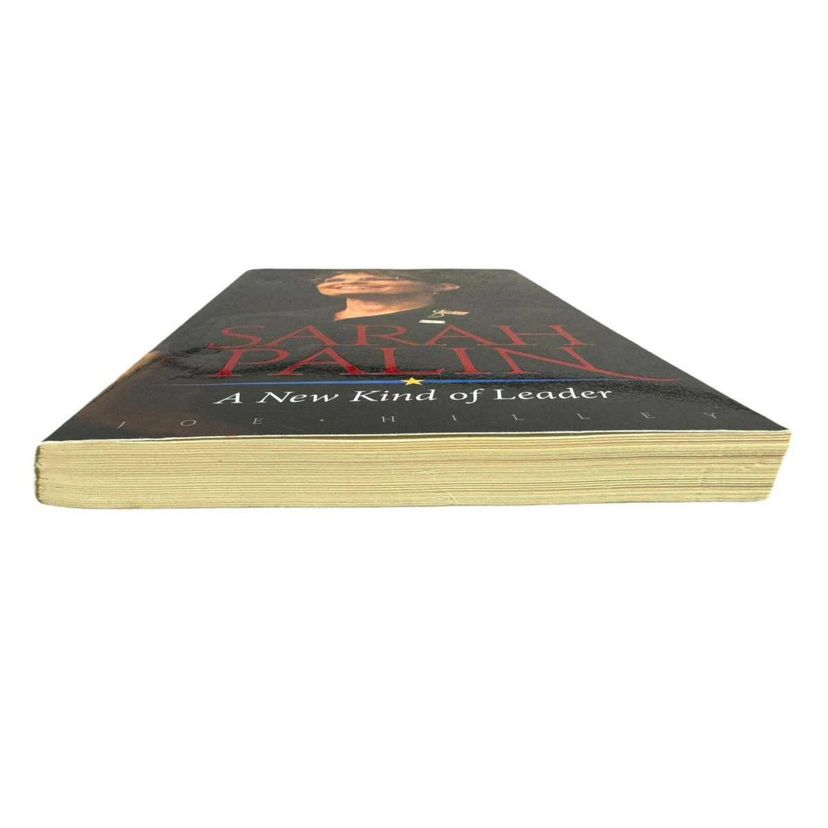 Sarah Palin by Joe Hilley (Paperback)