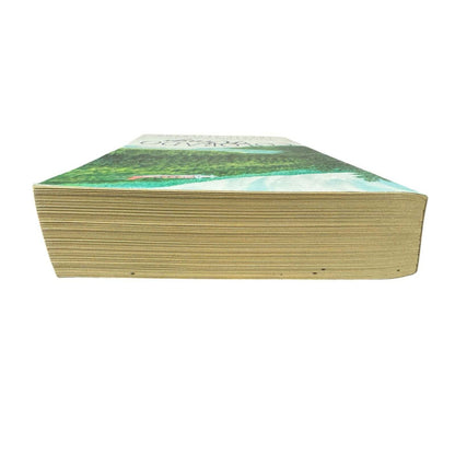 Colorado Wings by Tracie Peterson (Paperback)