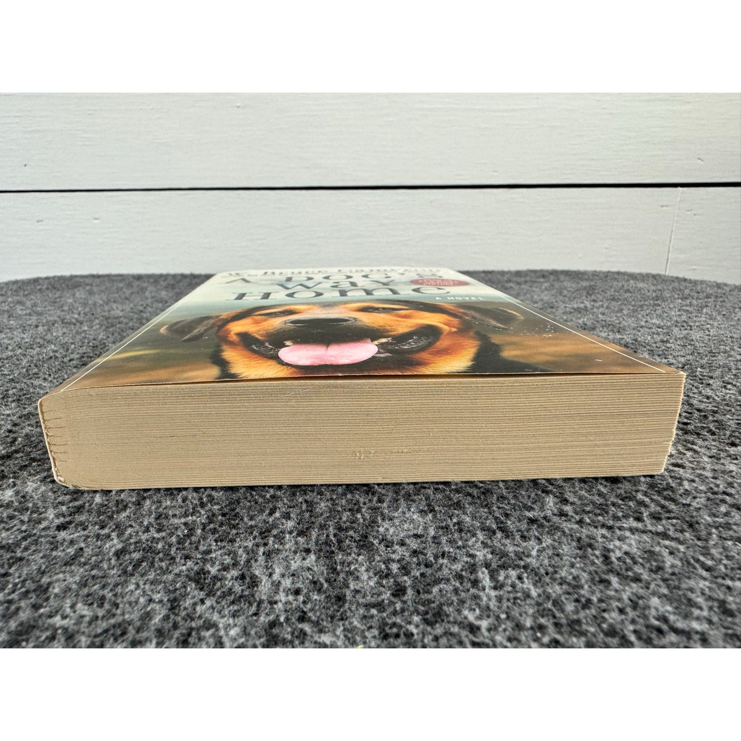 A Dog's Way Home by W. Bruce Cameron (Paperback)