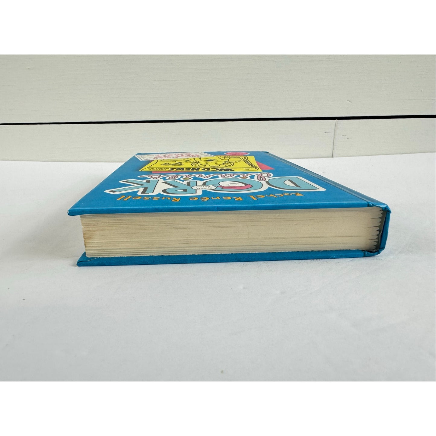 Dork Diaries: Tales from a Not-So-Smart Miss Know-It-All (Hardcover)