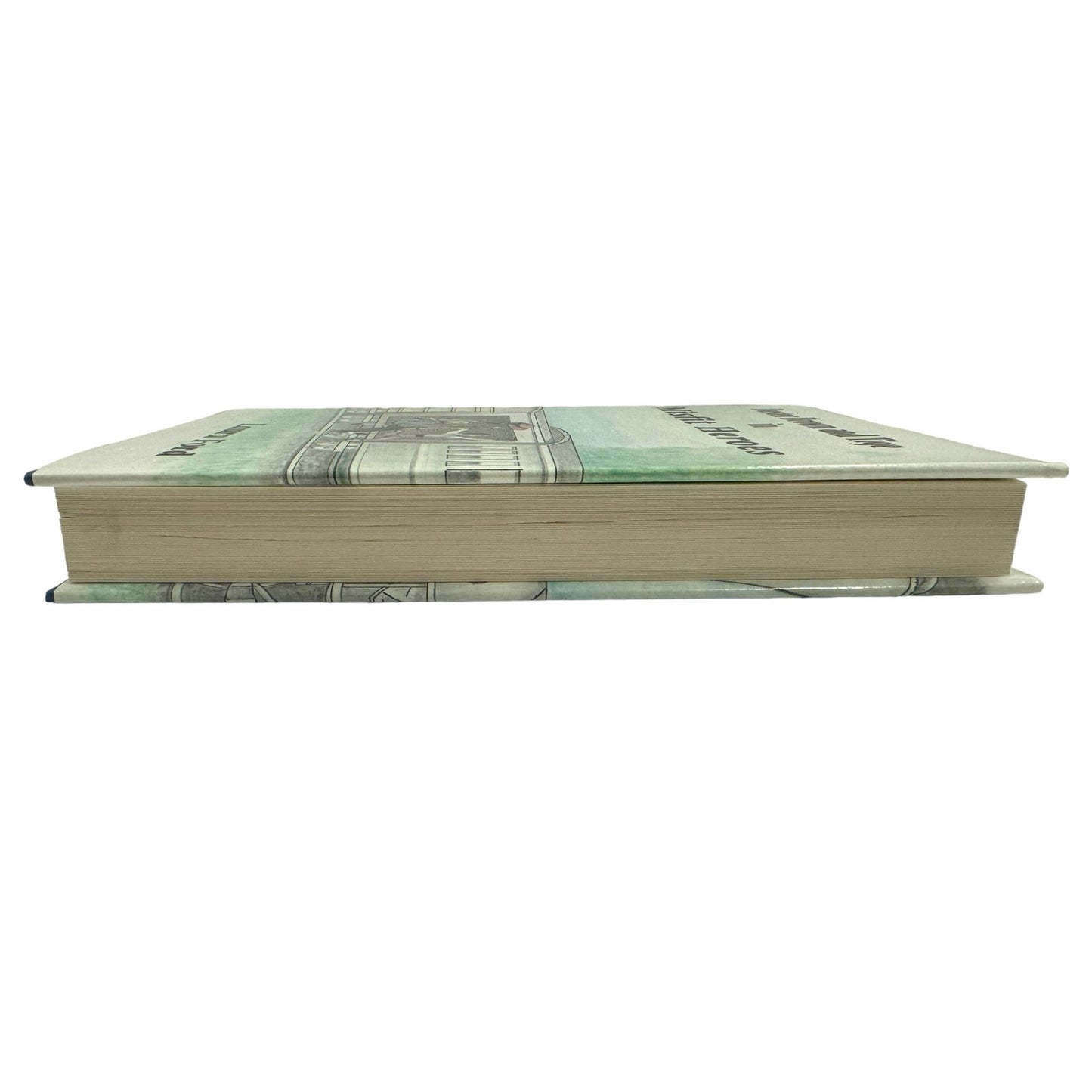 Buster Brown and Tige in Misfit Heroes by Laura Ford (Hardcover)