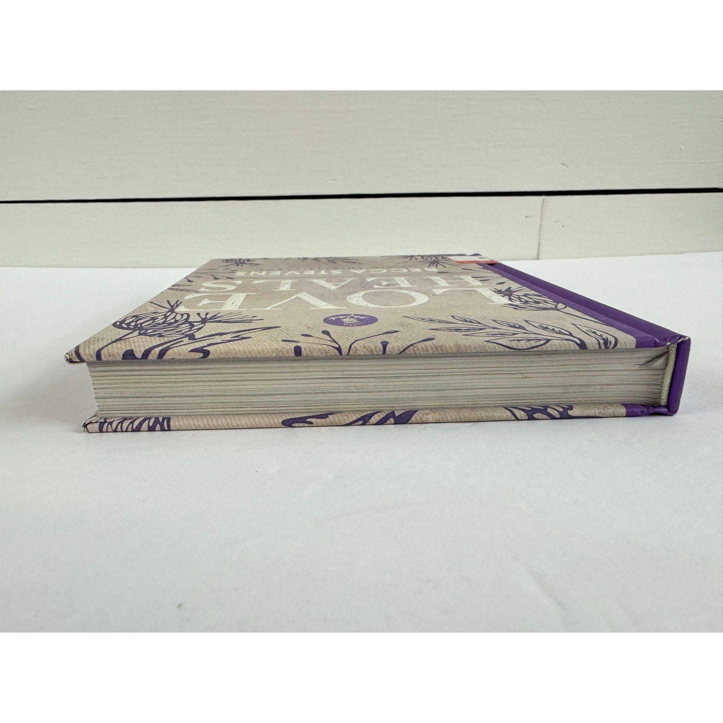 Love Heals by Becca Stevens (Hardcover)