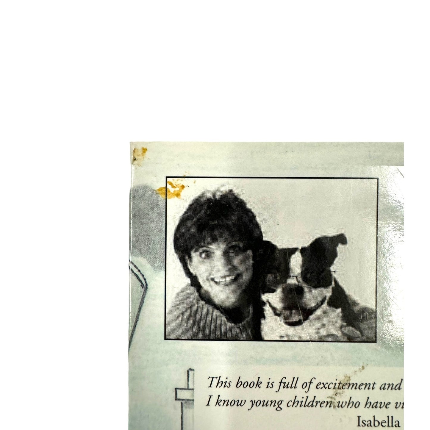 Buster Brown and Tige in Misfit Heroes by Laura Ford (Hardcover)